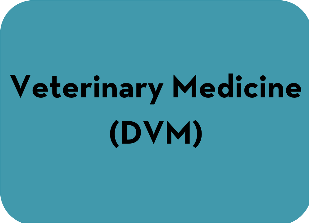 Veterinary Medicine (DVM) - Graduate Program