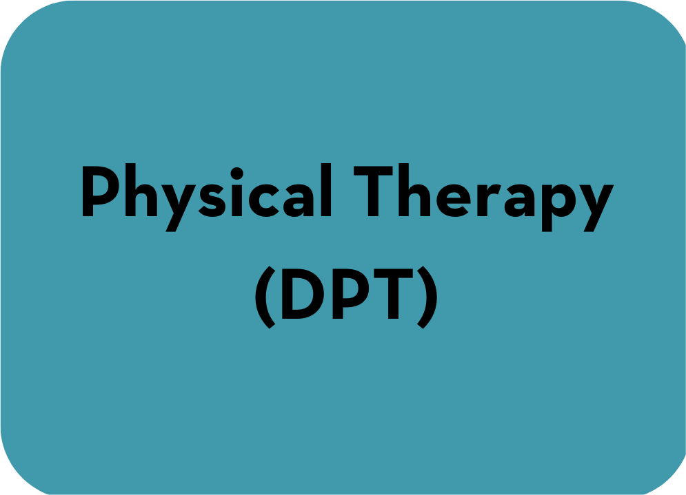 Physical Therapy (DPT) - Graduate Program