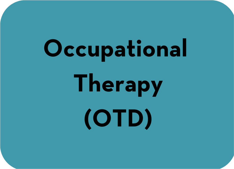 Occupational Therapy (OTD) - Graduate Program