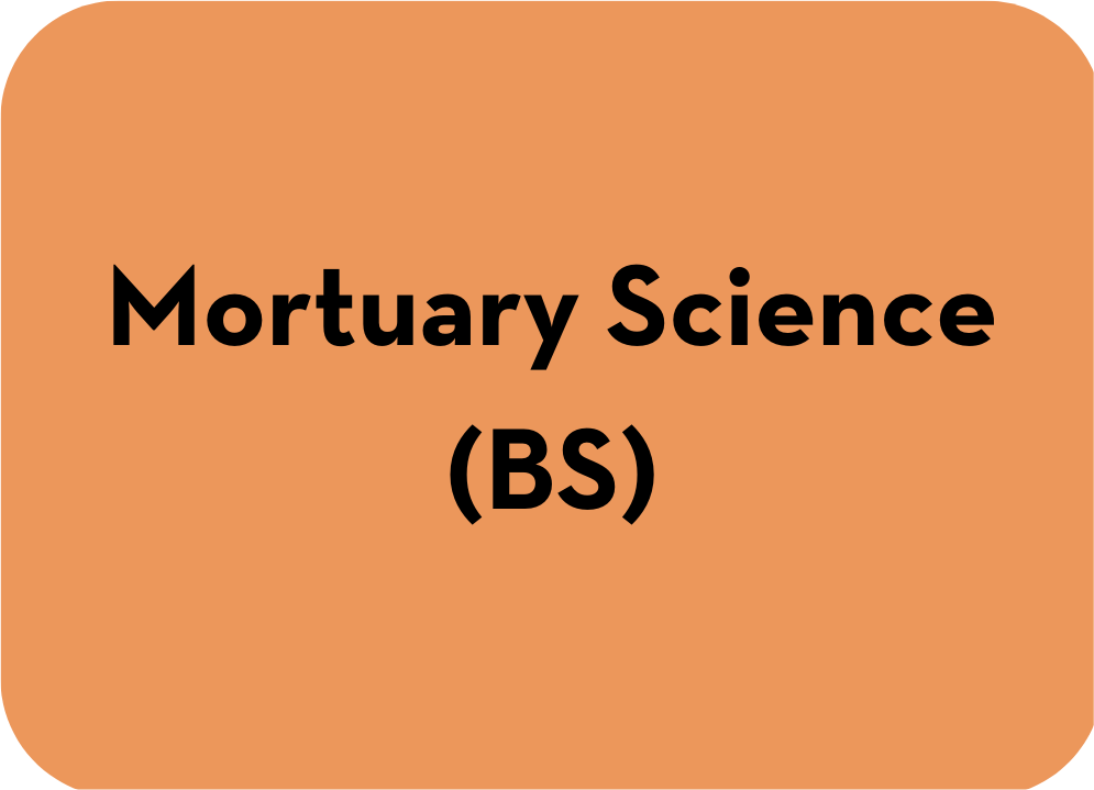 Mortuary Science (BS) - Undergraduate Program