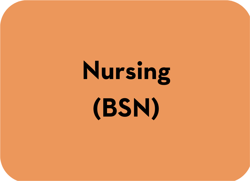Nursing (BSN) - Undergraduate Program