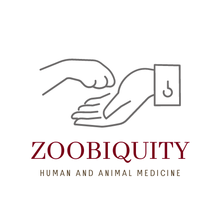 Zoobiquity Logo - animal paw and human hand connecting
